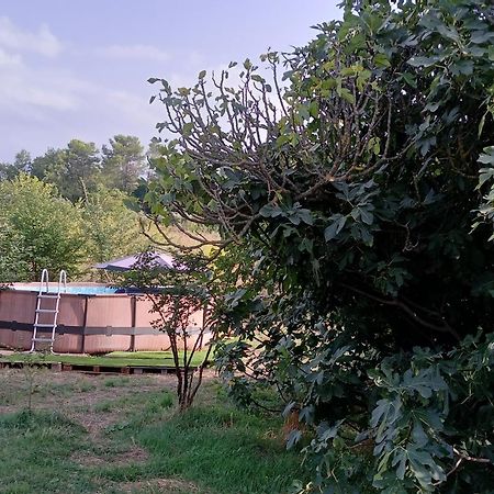 Villa Des Arnoux Dans La Vigne Draguignan Exterior photo