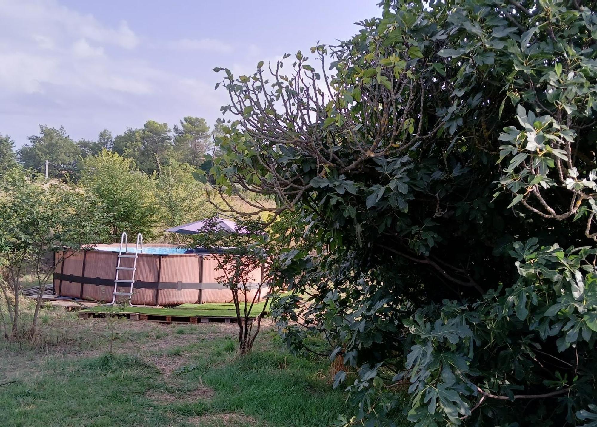 Villa Des Arnoux Dans La Vigne Draguignan Exterior photo